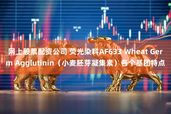 网上股票配资公司 荧光染料AF633 Wheat Germ Agglutinin（小麦胚芽凝集素）各个基团特点